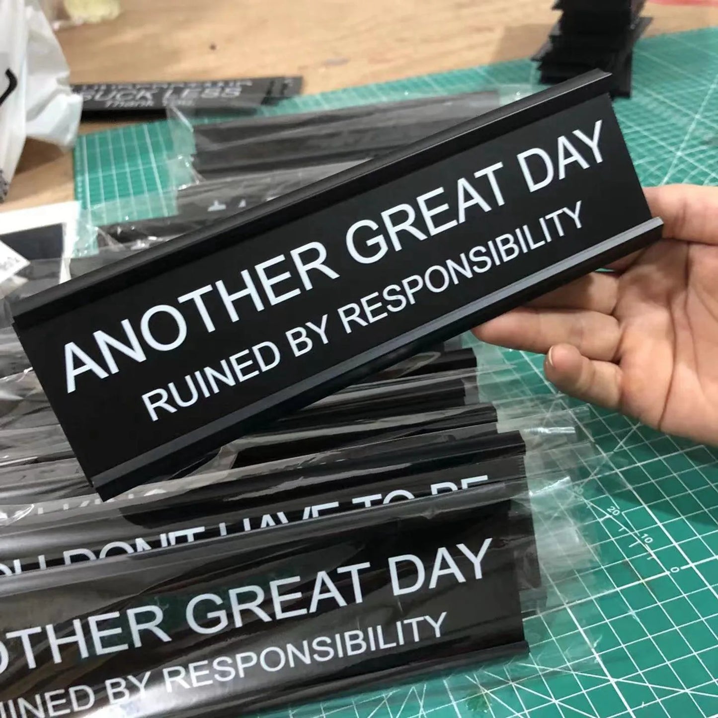 Florea™ Sarcastic Acrylic Office Desk Signs