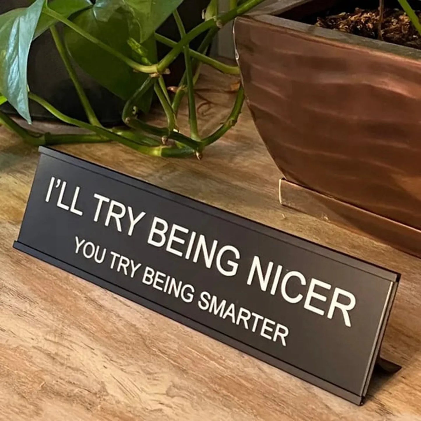 Florea™ Sarcastic Acrylic Office Desk Signs