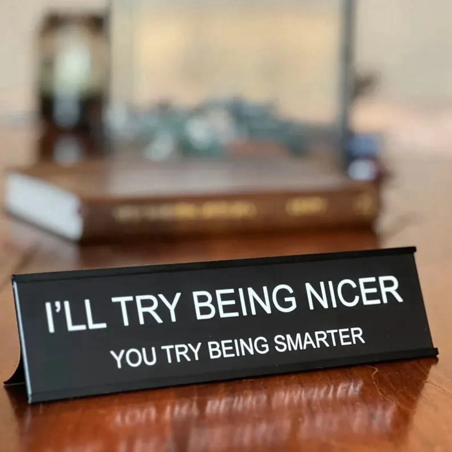Florea™ Sarcastic Acrylic Office Desk Signs