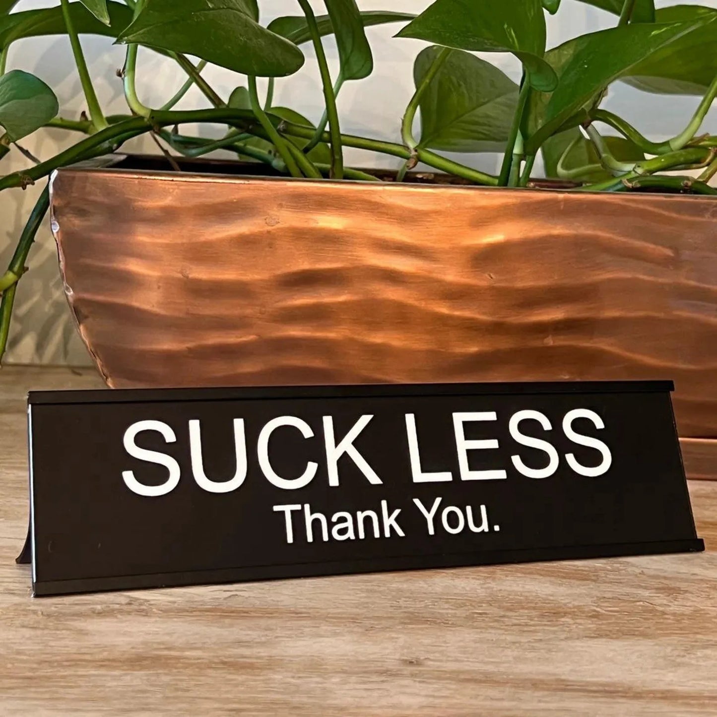 Florea™ Sarcastic Acrylic Office Desk Signs