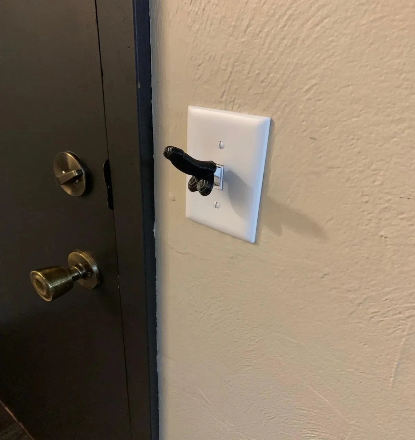 Florea™ Weiner Light Switch