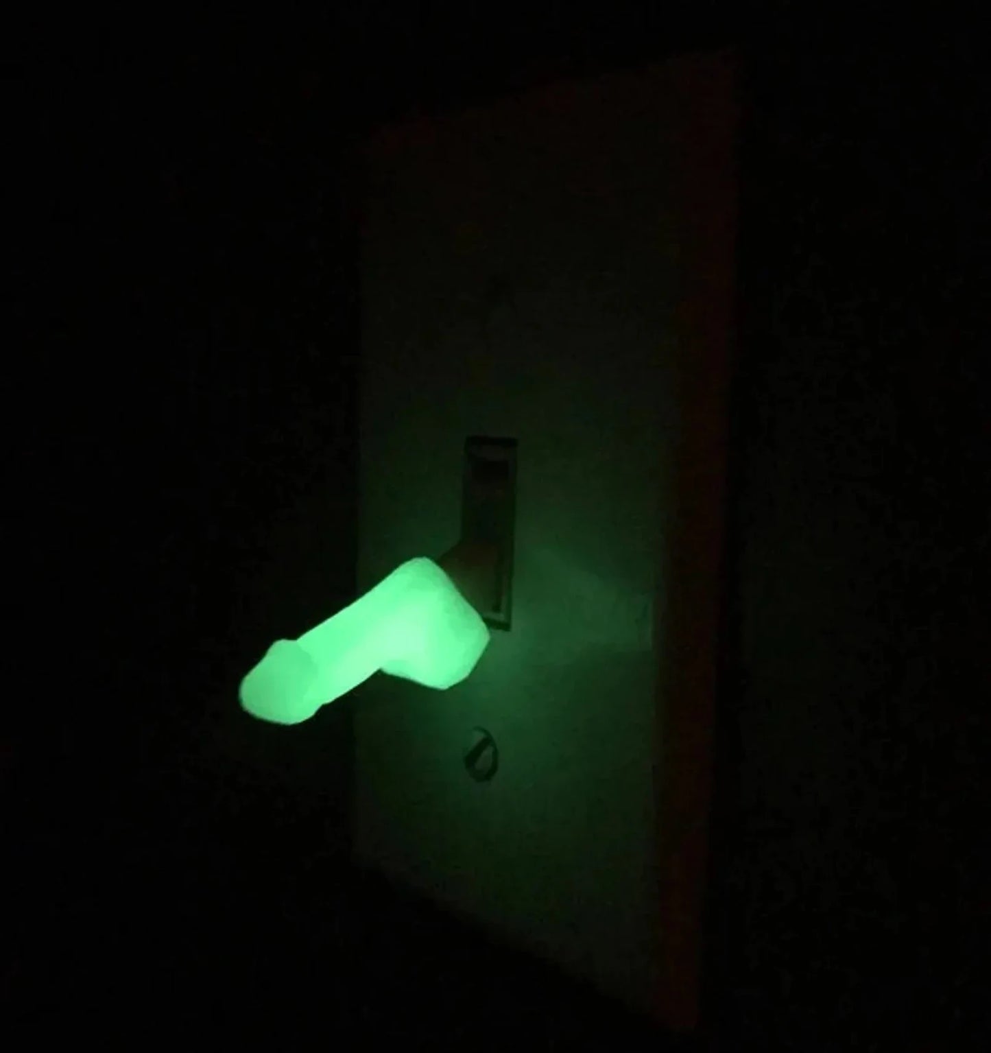 Florea™ Weiner Light Switch