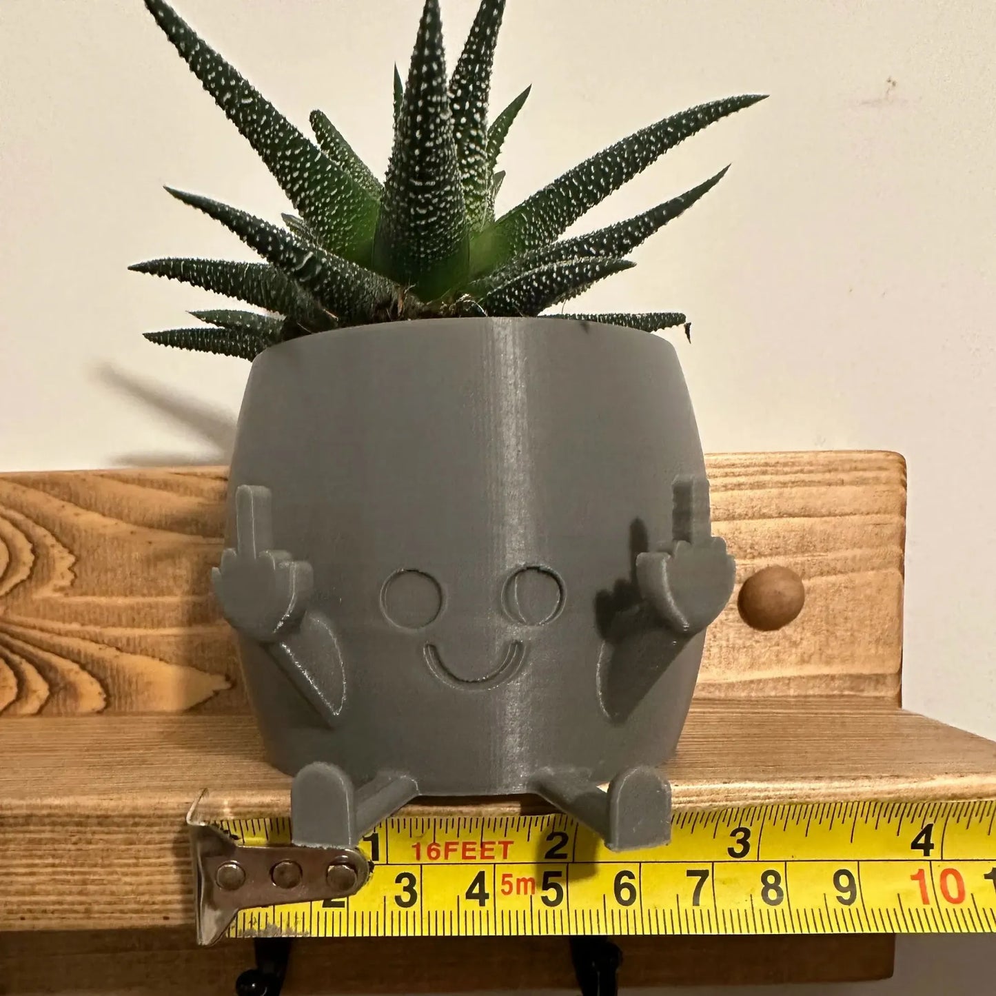 Florea™ Middle Finger Planter