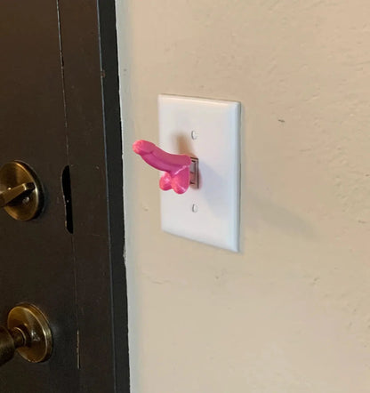 Florea™ Weiner Light Switch